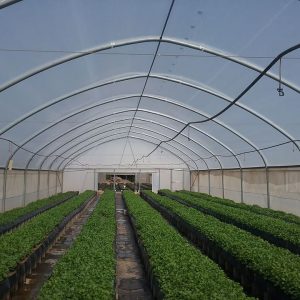 High Tunnel Complete Hydroponic Greenhouse