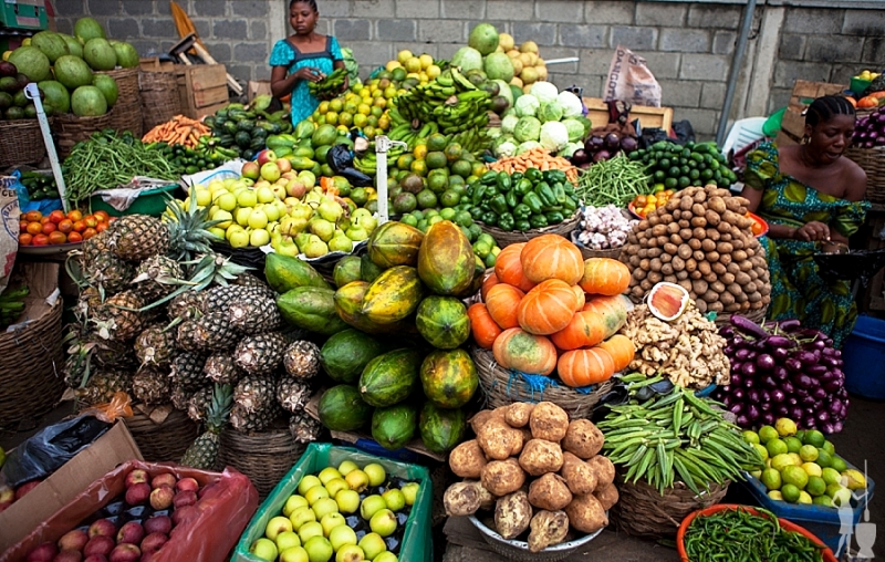 how-food-security-is-the-answer-to-national-security-bic-farms-concepts