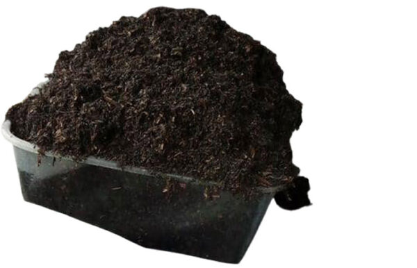 Biochar
