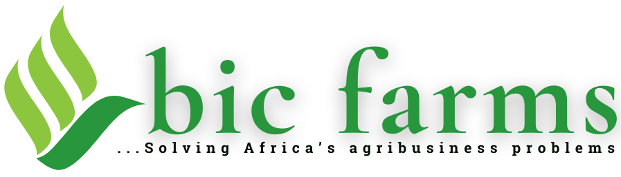 bic farms logo