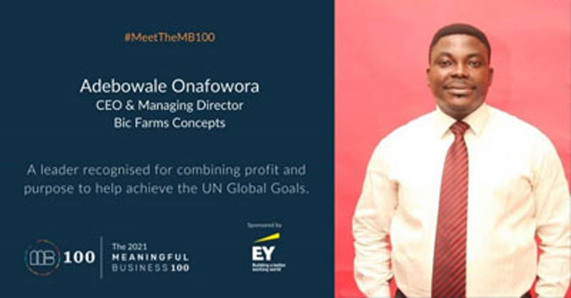 Read more about the article Debo Onafowora is an MB 100 leader