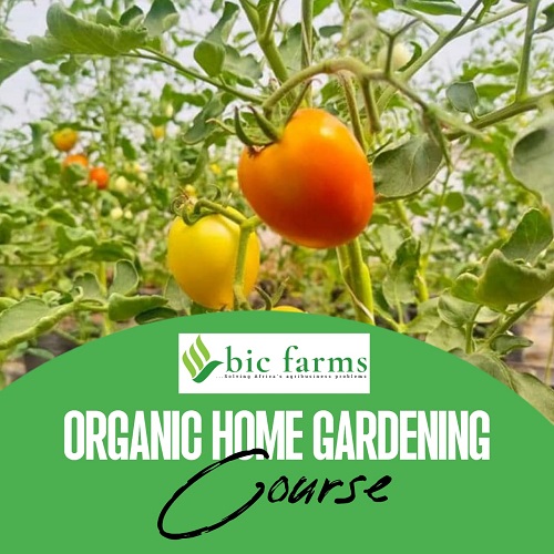 Organic Home Gardening Course