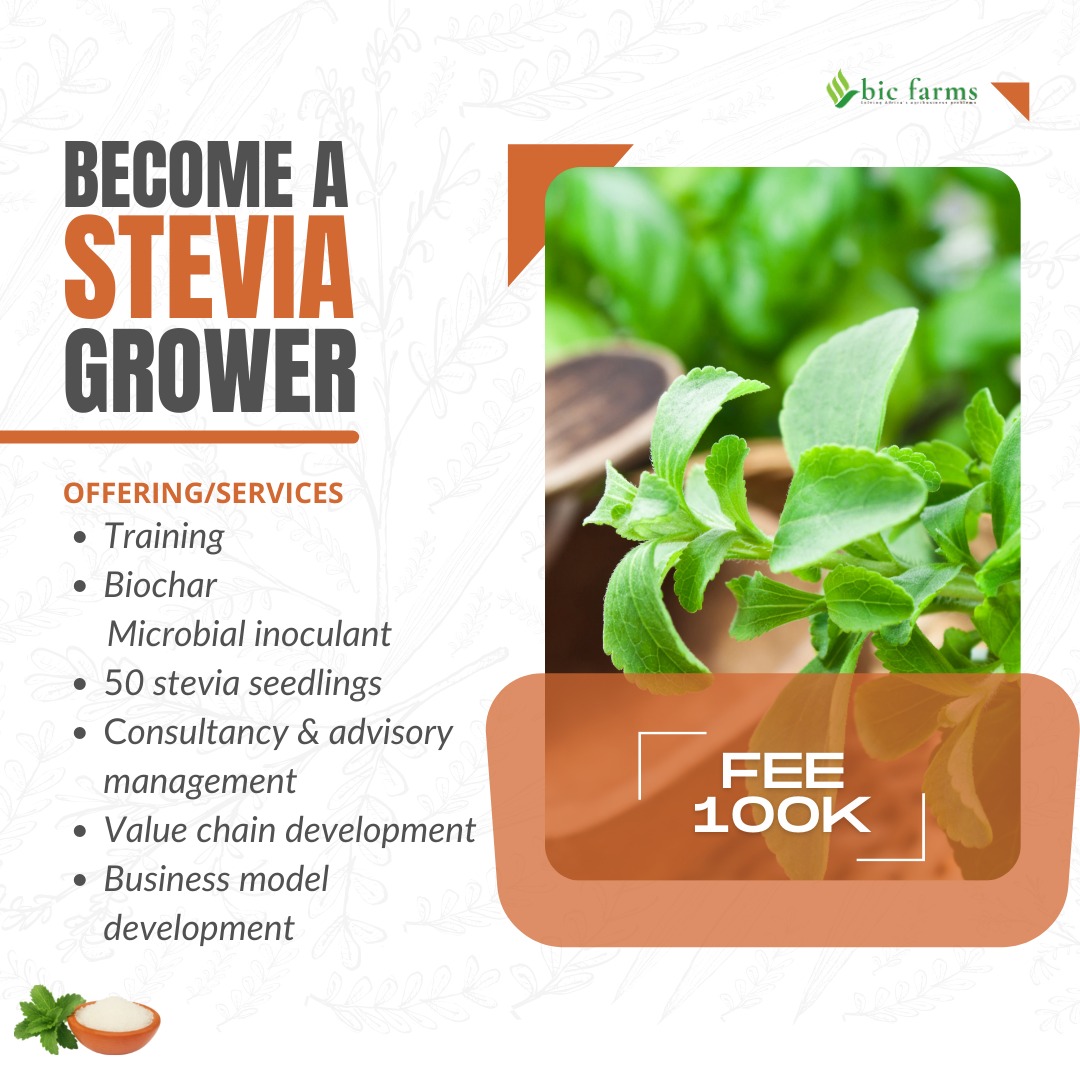 Learn Stevia Farming