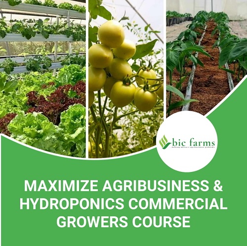 Agribusiness trainings