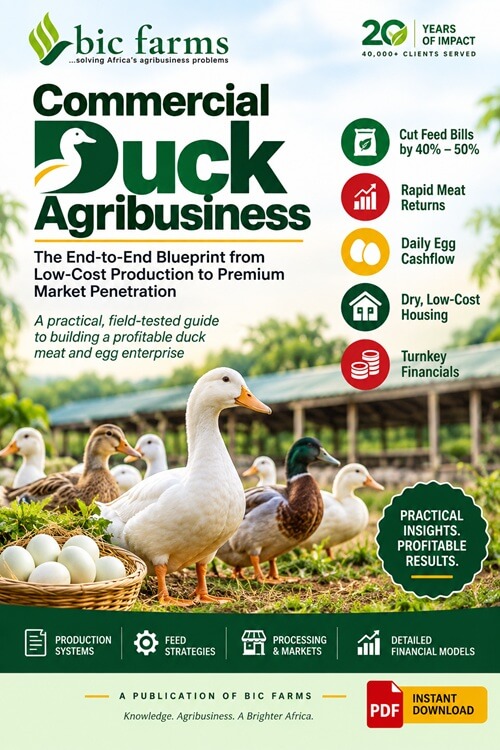 Commercial Duck Agribusiness Blueprint